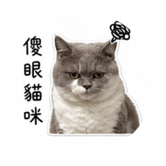 李菈寶貝