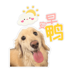 布布a日常 2