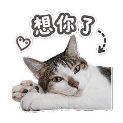 榮榮寶寶10年相親相愛
