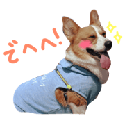 MUGI OF A CORGI2
