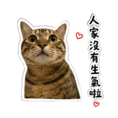 咘吉的日常