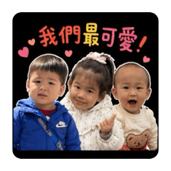 竑安康專案組