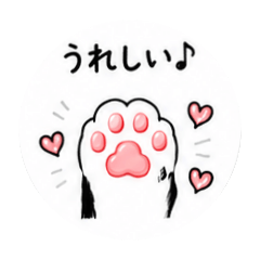 ushiko_20260614132527