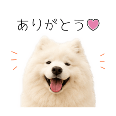 YUKI_20260614191240