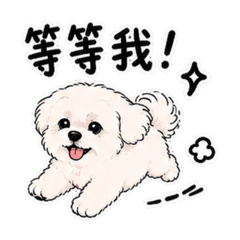 波比的萌萌日常