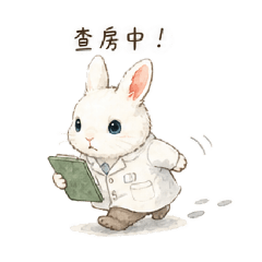Clerk小褲子