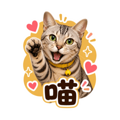 Yuki Queen