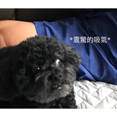 林小隆的Drama生活1