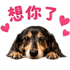寶妹可愛爆擊❤️