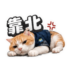 今天也想離職·泉家貓店長