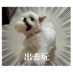 許哈尼1