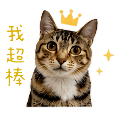 陳襪襪日常._.