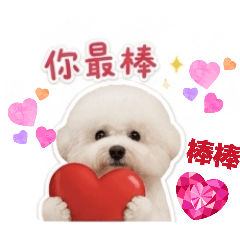 比熊蔡瑪莉日常口語