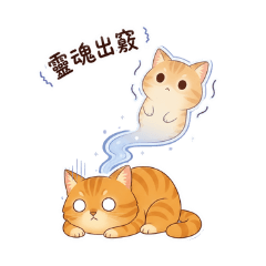圓來是你：整理好心情