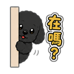 黑貴賓沒有與他的雞