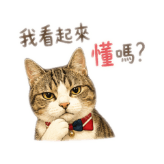 咪人生