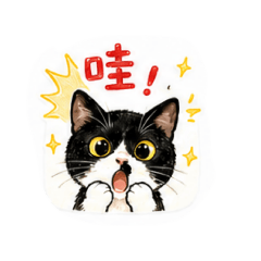 喵，喵，喵，喵