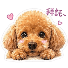 我家笨狗是樂樂