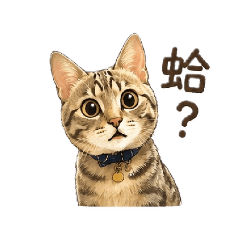 可愛迪奇