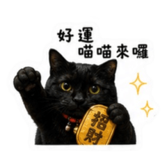 Pàng Pàng 的日常