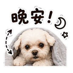 Bebe_20260513224025