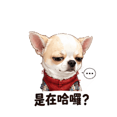 仔仔Q版