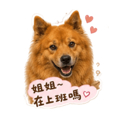 熊寶貝的可愛日常