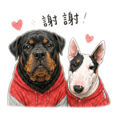 馬沙宇熊2.