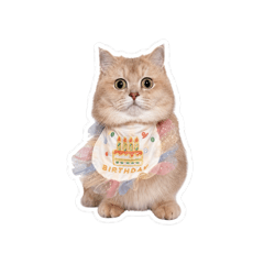 Hoki生日啦