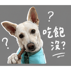 黃帝豆1.0