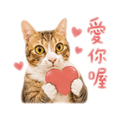 拾参陪你每一天