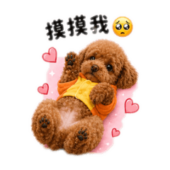 最可愛馬尼尼