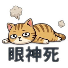 業務日常2-藍藍
