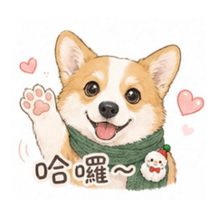 哈囉~柯基犬布丁