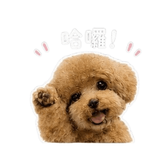 我的甜心小公主