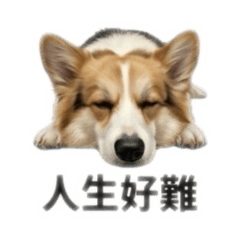 九死一生的麻糬擺爛