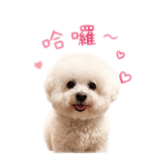 歆淋的money