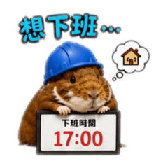 我想回家啦