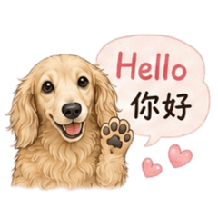 狗狗好乖寵物店二三事