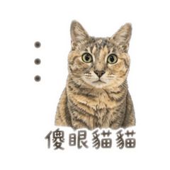 格格&球球 收藏用