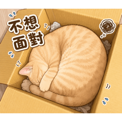 小歐的小情緒