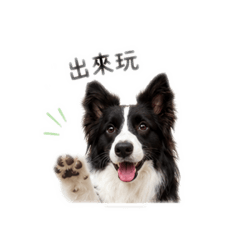 預約招呼