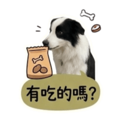 派派汪語錄-生活常用篇