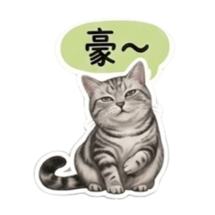 仔仔喵語錄-生活常用篇
