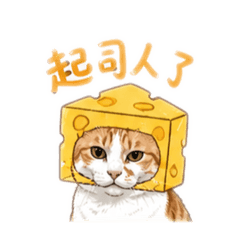 阿肥講話了