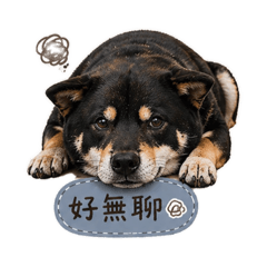 台南阿財日常4