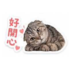 瑪莎拉蒂家族