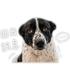 兜兜啊啊啊啊
