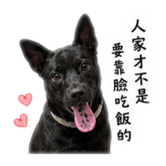 張文慶的慶
