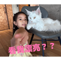 舅舅好帥